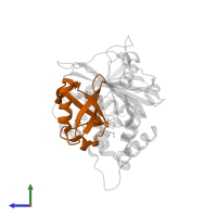 Ubiquitin in PDB entry 3mtn, assembly 2, side view.