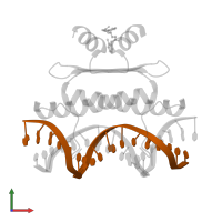 DNA (5'-D(*AP*AP*AP*GP*CP*TP*AP*TP*TP*AP*TP*TP*AP*GP*CP*TP*T)-3') in PDB entry 3mu6, assembly 1, front view.