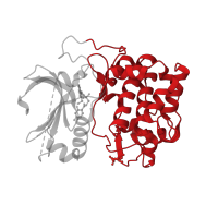 The deposited structure of PDB entry 3mvh contains 1 copy of CATH domain 1.10.510.10 (Transferase(Phosphotransferase); domain 1) in RAC-alpha serine/threonine-protein kinase. Showing 1 copy in chain A.