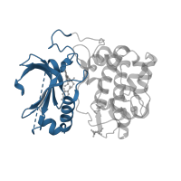 The deposited structure of PDB entry 3mvh contains 1 copy of CATH domain 3.30.200.20 (Phosphorylase Kinase; domain 1) in RAC-alpha serine/threonine-protein kinase. Showing 1 copy in chain A.