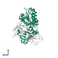 ATP-citrate synthase in PDB entry 3mwe, assembly 1, side view.