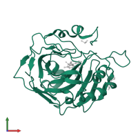 Carbonic anhydrase 2 in PDB entry 3myq, assembly 1, front view.