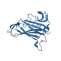 The deposited structure of PDB entry 3n0i contains 3 copies of Pfam domain PF00541 (Adenoviral fibre protein (knob domain)) in Adenoviral fibre protein knob domain-containing protein. Showing 1 copy in chain B.