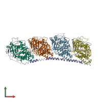 PDB entry 3n2k coloured by chain, front view.