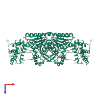 Lysosomal Pro-X carboxypeptidase in PDB entry 3n2z, assembly 1, top view.
