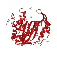 The deposited structure of PDB entry 3n5g contains 1 copy of CATH domain 3.30.572.10 (Thymidylate Synthase; Chain A) in Thymidylate synthase. Showing 1 copy in chain A.