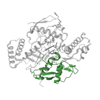 The deposited structure of PDB entry 3n62 contains 2 copies of CATH domain 3.90.440.10 (Nitric Oxide Synthase;Heme Domain; Chain A, domain 2) in Nitric oxide synthase 1. Showing 1 copy in chain B.
