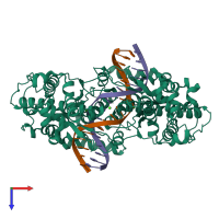 Hetero tetrameric assembly 1 of PDB entry 3n7b coloured by chemically distinct molecules, top view.