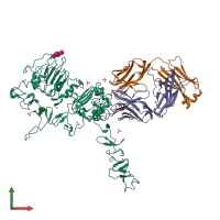 PDB entry 3n85 coloured by chain, front view.