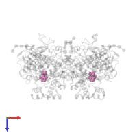 2-[2,6-DICHLOROPHENYL)AMINO]BENZENEACETIC ACID in PDB entry 3n8y, assembly 1, top view.