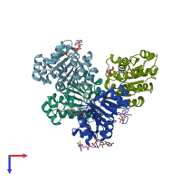 PDB entry 3nbf coloured by chain, top view.
