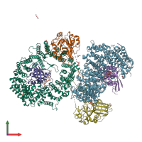 PDB entry 3nc0 coloured by chain, front view.
