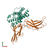 PDB entry 3ncb coloured by chain, front view.