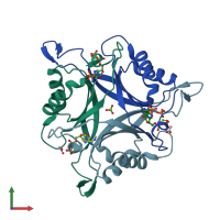 PDB entry 3ncr coloured by chain, front view.