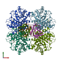 PDB entry 3ndy coloured by chain, front view.