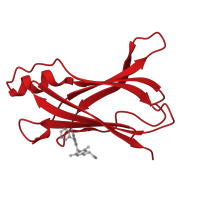 The deposited structure of PDB entry 3neo contains 2 copies of CATH domain 2.60.40.180 (Immunoglobulin-like) in Transthyretin. Showing 1 copy in chain A.