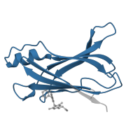 The deposited structure of PDB entry 3neo contains 2 copies of Pfam domain PF00576 (HIUase/Transthyretin family) in Transthyretin. Showing 1 copy in chain A.