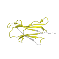 The deposited structure of PDB entry 3nfn contains 1 copy of Pfam domain PF07654 (Immunoglobulin C1-set domain) in Beta-2-microglobulin. Showing 1 copy in chain B.