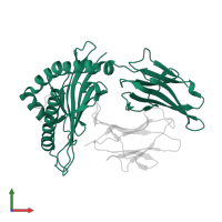 HLA class I histocompatibility antigen, A alpha chain in PDB entry 3nfn, assembly 1, front view.