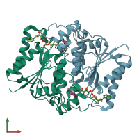 PDB entry 3nhl coloured by chain, front view.