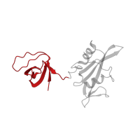 The deposited structure of PDB entry 3nhn contains 1 copy of CATH domain 2.30.30.40 (SH3 type barrels.) in Tyrosine-protein kinase HCK. Showing 1 copy in chain A.