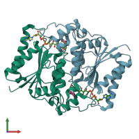 PDB entry 3nhp coloured by chain, front view.