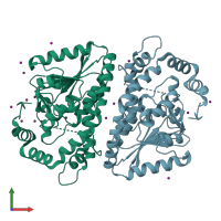 PDB entry 3njb coloured by chain, front view.