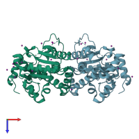 PDB entry 3njb coloured by chain, top view.