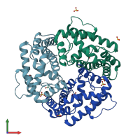 PDB entry 3nke coloured by chain, front view.