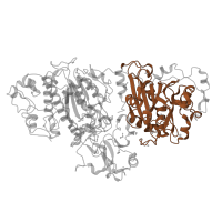 The deposited structure of PDB entry 3nkm contains 1 copy of Pfam domain PF01223 (DNA/RNA non-specific endonuclease) in Ectonucleotide pyrophosphatase/phosphodiesterase family member 2. Showing 1 copy in chain A.