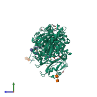 Monomeric assembly 1 of PDB entry 3nko coloured by chemically distinct molecules, side view.