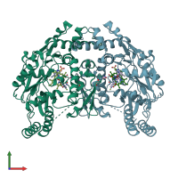 PDB entry 3nlk coloured by chain, front view.