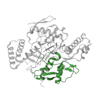 The deposited structure of PDB entry 3nln contains 2 copies of CATH domain 3.90.440.10 (Nitric Oxide Synthase;Heme Domain; Chain A, domain 2) in Nitric oxide synthase 1. Showing 1 copy in chain B.