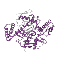 The deposited structure of PDB entry 3nln contains 2 copies of Pfam domain PF02898 (Nitric oxide synthase, oxygenase domain) in Nitric oxide synthase 1. Showing 1 copy in chain B.