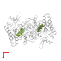 PROTOPORPHYRIN IX CONTAINING FE in PDB entry 3nlr, assembly 1, top view.