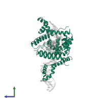 High mobility group protein D in PDB entry 3nm9, assembly 1, side view.