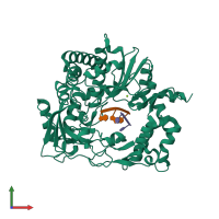 PDB entry 3nma coloured by chain, front view.