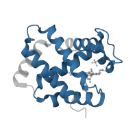 The deposited structure of PDB entry 3nmm contains 2 copies of Pfam domain PF00042 (Globin) in Hemoglobin subunit alpha. Showing 1 copy in chain A.