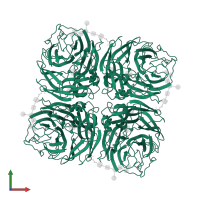 Neuraminidase in PDB entry 3nn9, assembly 1, front view.