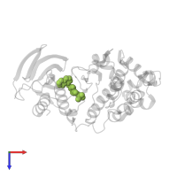 1-{3-tert-butyl-1-[4-(hydroxymethyl)phenyl]-1H-pyrazol-5-yl}-3-naphthalen-1-ylurea in PDB entry 3nnv, assembly 1, top view.