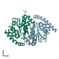 PDB entry 3noo coloured by chain, front view.