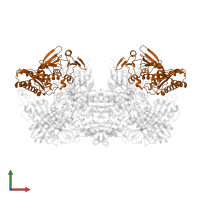 Xanthine dehydrogenase/oxidase in PDB entry 3nrz, assembly 1, front view.