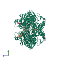 Homo dimeric assembly 1 of PDB entry 3ntg coloured by chemically distinct molecules, side view.