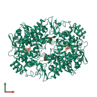 Homo dimeric assembly 2 of PDB entry 3ntg coloured by chemically distinct molecules, front view.