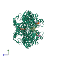Homo dimeric assembly 2 of PDB entry 3ntg coloured by chemically distinct molecules, side view.