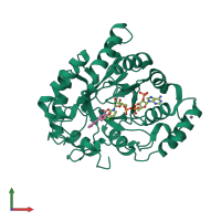 PDB entry 3nty coloured by chain, front view.