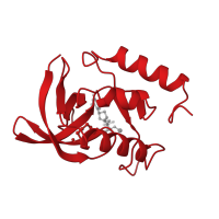 The deposited structure of PDB entry 3nuc contains 1 copy of CATH domain 2.40.50.90 (OB fold (Dihydrolipoamide Acetyltransferase, E2P)) in Nuclease A. Showing 1 copy in chain A.