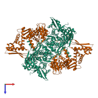 Hetero tetrameric assembly 1 of PDB entry 3nuh coloured by chemically distinct molecules, top view.