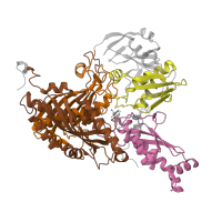 The deposited structure of PDB entry 3nvw contains 8 copies of CATH domain 3.30.365.10 (Aldehyde Oxidoreductase; domain 4) in Xanthine dehydrogenase/oxidase. Showing 4 copies in chain C.