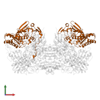 Xanthine dehydrogenase/oxidase in PDB entry 3nvw, assembly 1, front view.